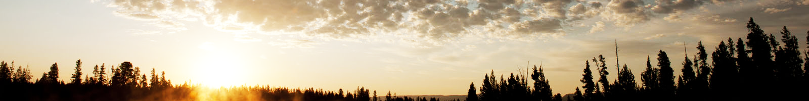 Montana Board of Visitors